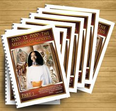 YBY:  The Messiah of Genesis